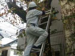 %e3%83%93%e3%83%ab%e3%83%9e%e3%83%8d3