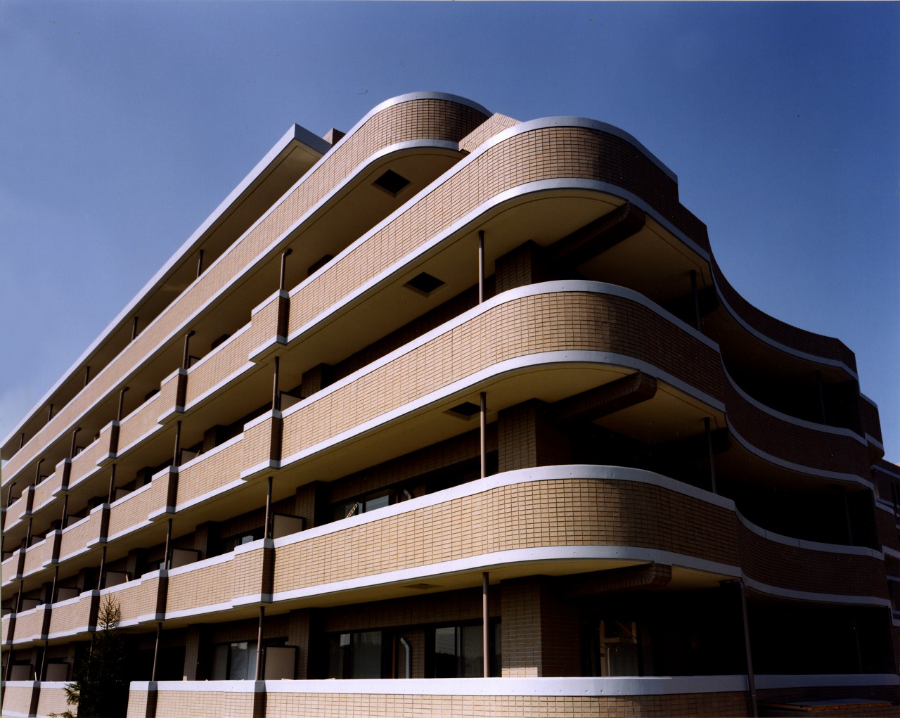 %e5%9c%9f%e5%9c%b0%e6%b4%bb%e7%94%a81